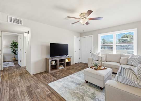 A living room with a television, couch, and a rug.