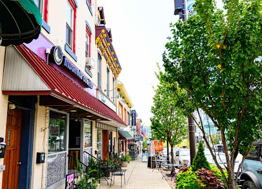 a city street with shops and trees on the sidewalk