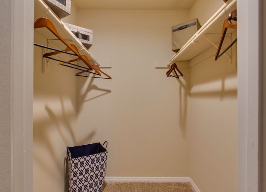walk in closet with hangers at Madison Hunters Glen, NC 27606