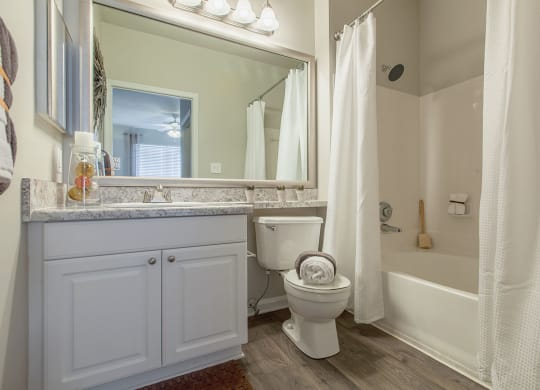 Luxurious Bathroom at Reserve at Bridford, Greensboro, 27407