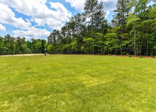 Large grassy off-leash dog park at Carmel Vista, McDonough, GA