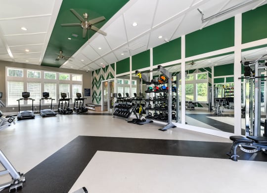 Modern Fitness Center at Carmel Vista, McDonough