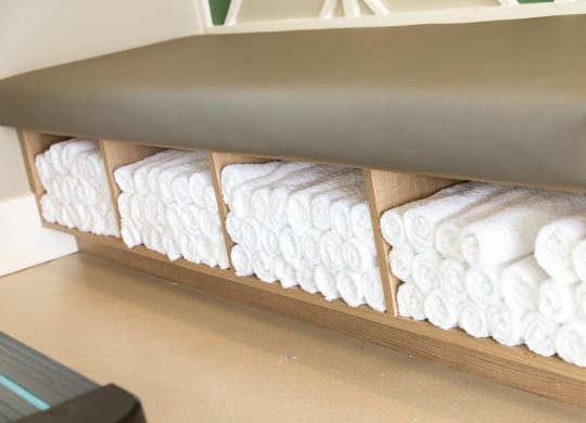 Fitness Center towels at Carmel Vista, McDonough