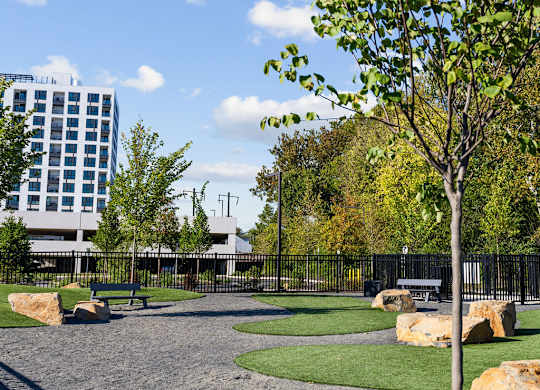 a park with trees and rocks and a building in the background