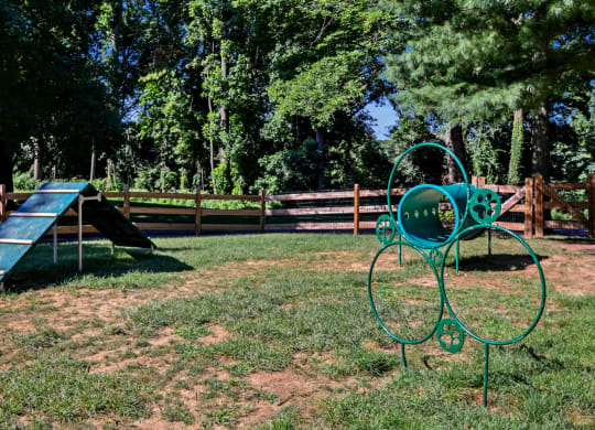 Dog park at Madison Glen Mills, Pennsylvania