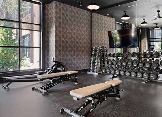 the gym has weights machines and a television on the wall