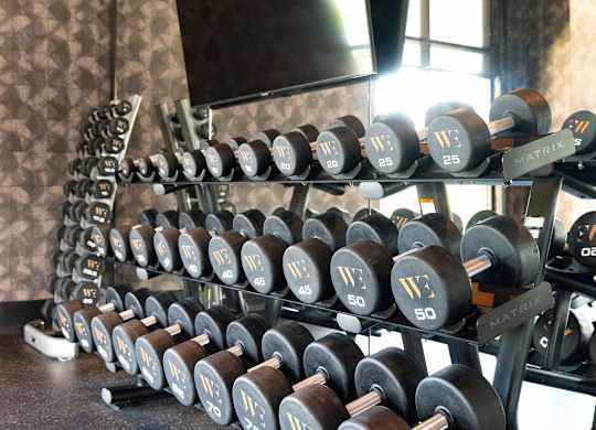 a rack of dumbbells in a gym