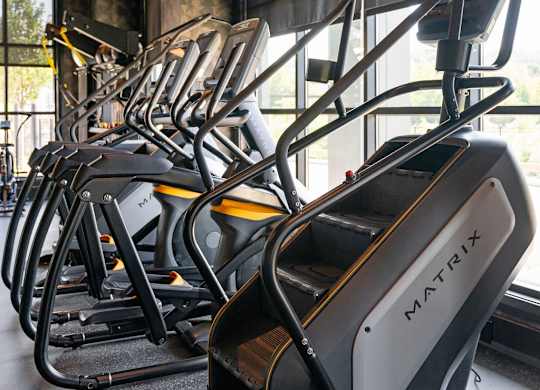a row of cardio machines in a gym