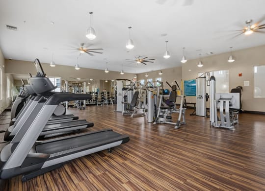a gym with cardio equipment and weights on a wooden floor at Inspira, Florida, 34113