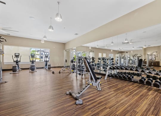 Fitness Center Weights at Inspira, Naples, Florida