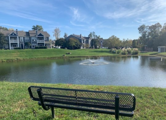 view of pond from bench