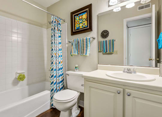 Luxurious Bathroom at Madison Hunters Glen, Raleigh, NC