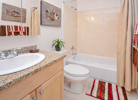 Model bathroom at Madison Glen Mills, Glen Mills