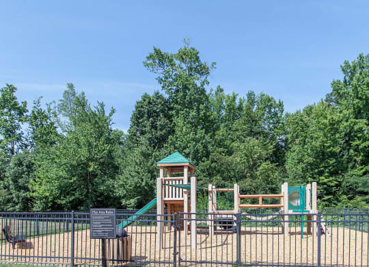Play Area at Reserve at Bridford, North Carolina