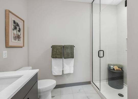 a bathroom with a shower and a sink and a toilet