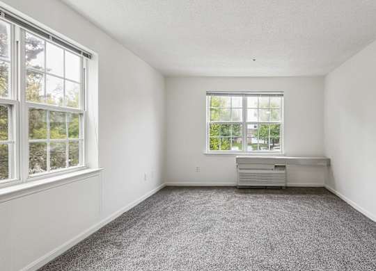 A room with a grey carpet and a window.