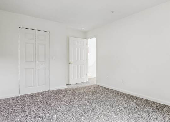 A room with two white doors and carpeted floor.