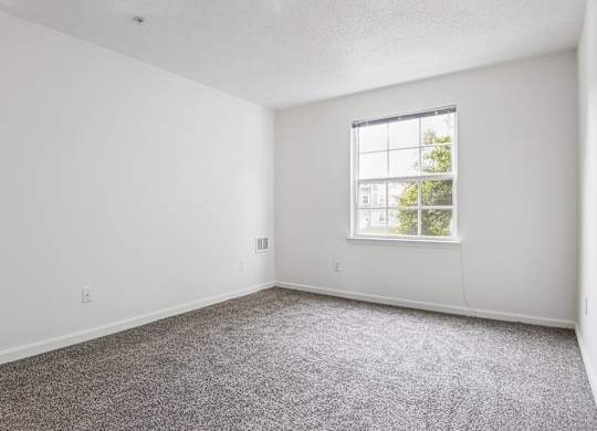 A room with a carpeted floor and a window.