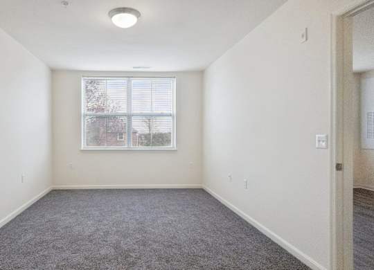 A room with a carpeted floor and a window.