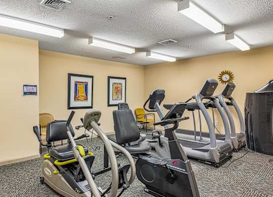 A gym with treadmills and elliptical machines.