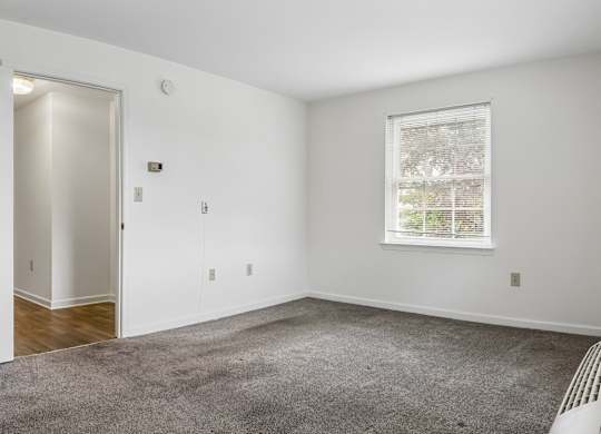 A room with a carpeted floor, a window, and a door.