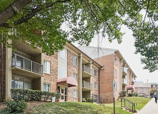 A tree hangs over a walkway in front of apartment buildings.