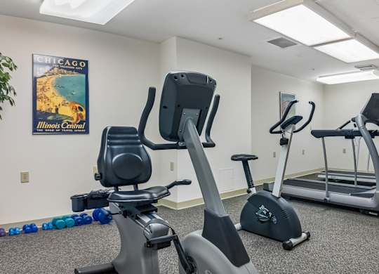 A gym with a treadmill, elliptical trainer and a stationary bike.