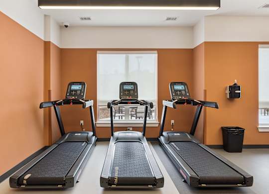 Three treadmills are lined up in a row in a gym.