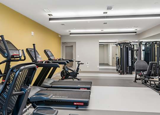 A gym with treadmills, elliptical machines, and weights.