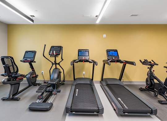 A gym with treadmills, elliptical machines, and stationary bikes.