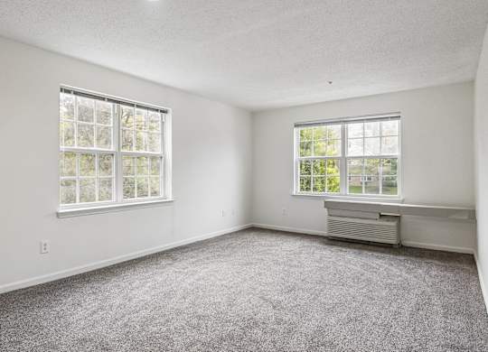 A room with a window and a carpeted floor.