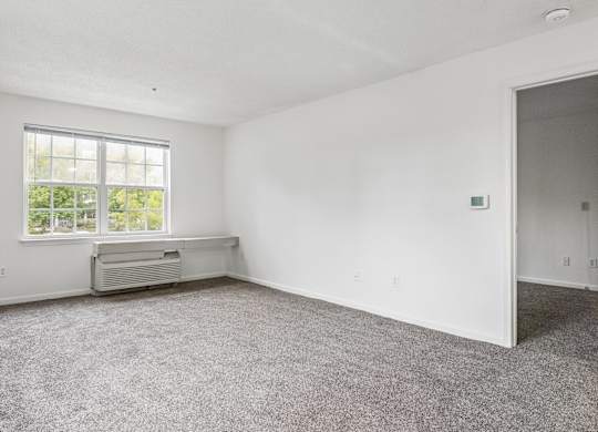 A room with a window and a carpeted floor.
