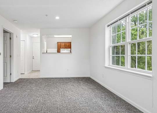 A large empty room with a carpeted floor and a window.