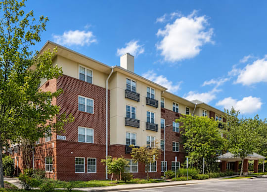A red brick apartment building with a green tree in front.