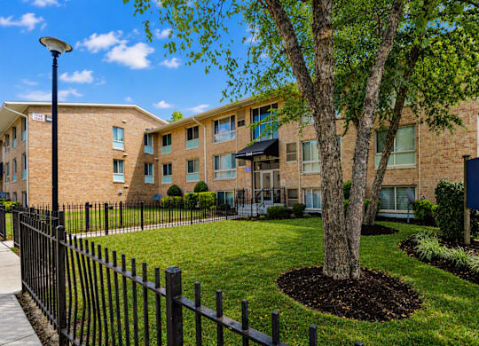 A tree in a mulched area in front of apartment buildings.