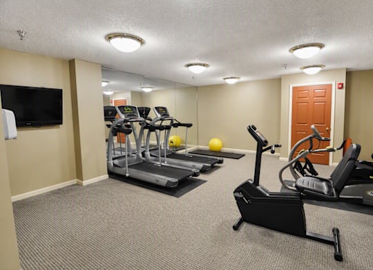 A gym with treadmills, elliptical machines, and a television.