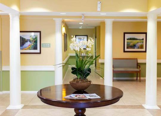 A round table with a potted plant on it in the middle of a hallway.