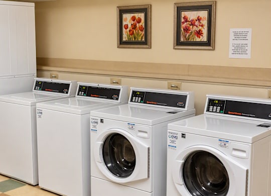 A row of white front load washing machines are lined up in a laundromat.