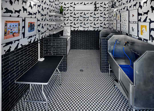 A room with black and white checkered floor and walls at Folksong Apartments, Flowery Branch, Georgia