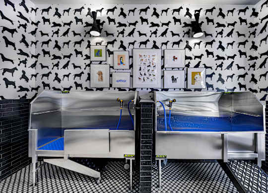 A room with a black and white checkered floor and a wall covered in black dog silhouettes at Folksong Apartments, Georgia