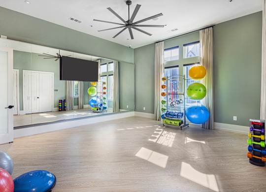 A room with a mirror, a television, and exercise balls at Folksong Apartments, Flowery Branch