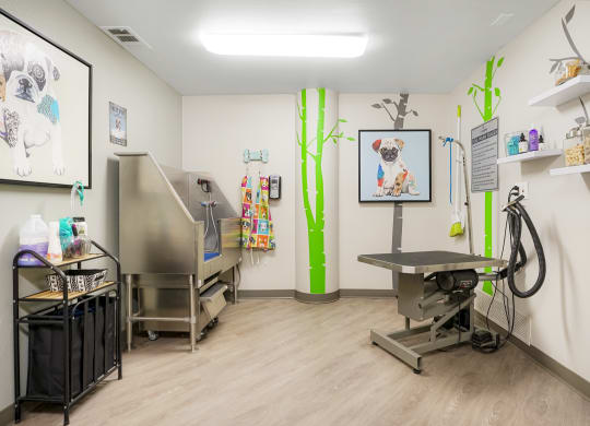 Pet Spa at The Bluffs at Highlands Ranch, Colorado