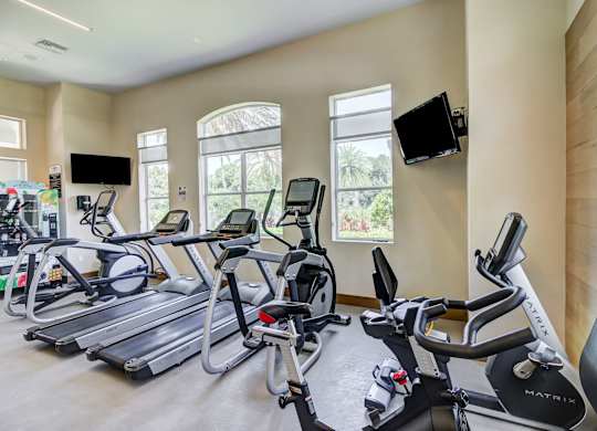 Fitness Center With Modern Equipment at Tuscany Bay Apartments, Florida