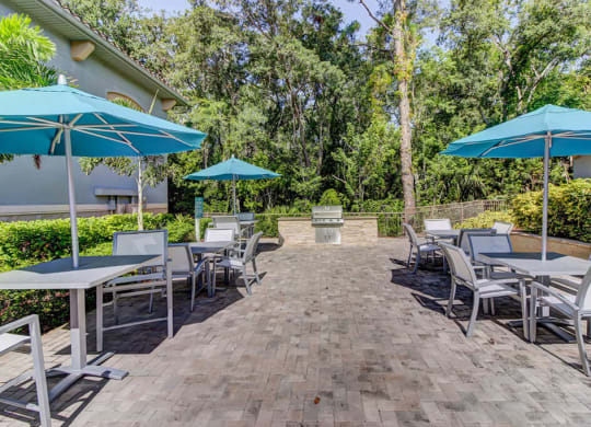 Courtyard With Bbq Area at The Preserve at Westchase, Tampa, FL