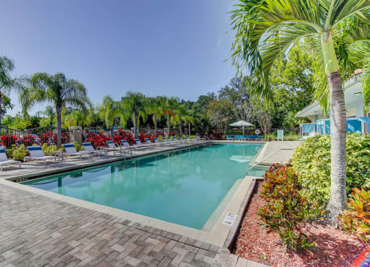 Outdoor Swimming Pool at The Preserve at Westchase, Tampa, 33626