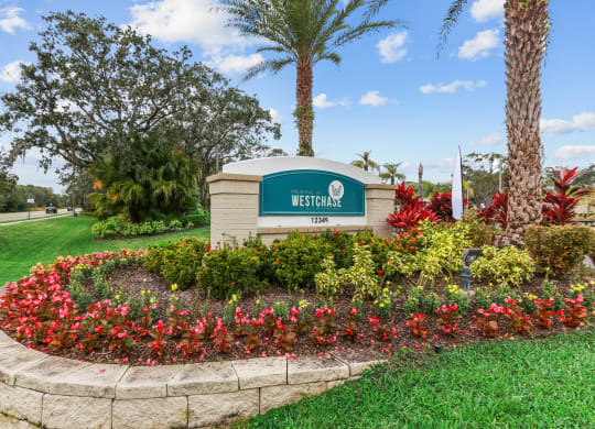 landscaping at The Preserve at Westchase, Tampa