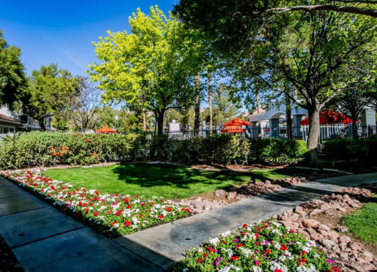 Octave Apartments in Las Vegas, Nevada Courtyard and Path to Pool Area at Octave Apartments, Las Vegas, NV