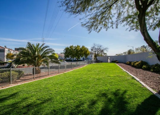 Octave Apartments in Las Vegas, Nevada Dog Park at Octave Apartments, Las Vegas, 89123