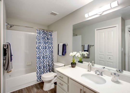 Newly Renovated Bathrooms at The Preserve at Westchase