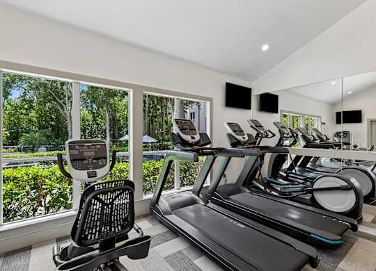 A row of treadmills in a gym with a view of trees outside the window.